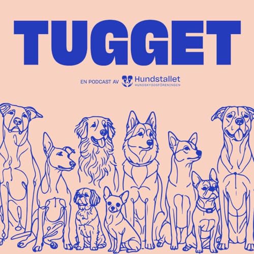 Om att f&ouml;rlora en hund med Carin da Silva