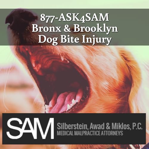 Barked into a Corner? Bronx Dog Bite Attorneys Help Injured NYC Residents | 877-ASK4SAM