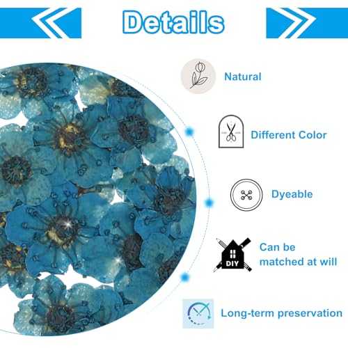 Flores prensadas secas azules para manualidades 60 pcs miniatura 3