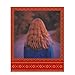 Polaroid Originals Instant Color 600 Film - Festive Red Edition (4931)