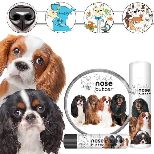 Image of The Blissful Dog Cavalier King Charles Spaniel Unscented Nose Butter - Dog Nose Butter, 4 Ounce