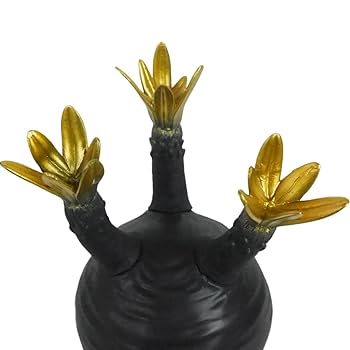 Amazon.co.jp: ボタニートイズクラブ Pachypodium Gracilius