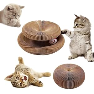 Kratzbrett Katze,Magic Organ Cat Scratching Board,2-in-1 Cat Kratzbrett mit Glöckchen,Foldable Convenient Cat Scratcher Durable Recyclable,Cat Scratcher Cardboard House