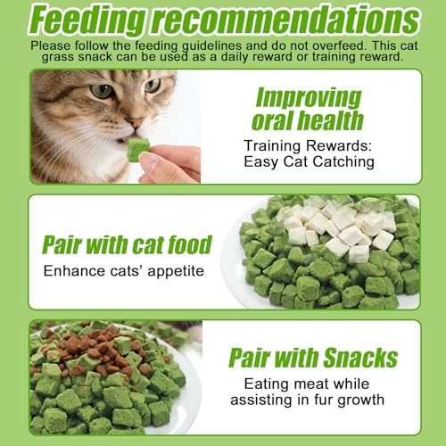 BAIFULAI 2 Beutel Katzengras Snack, 200g Gefriergetrocknet Snacks für Katzen, Katzengras Sticks, Katzengras Fertig Gewachsen für Katzen für die Zahnpflege und Haarknäuel Entfernen