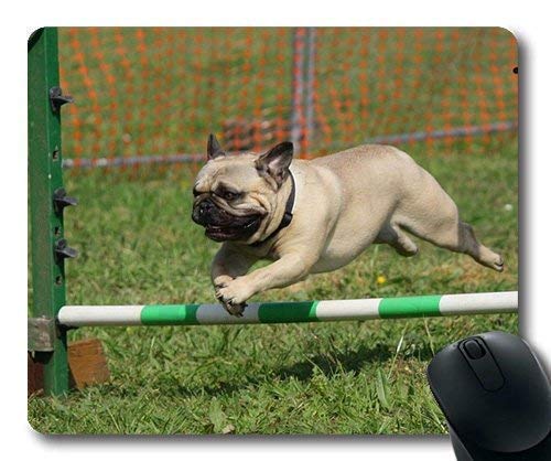 Preisvergleich Produktbild Benutzerdefinierte Mausauflage, Hunde Haustiere Garten Mausauflagen, Hund Mops Training Springen Rasse Stammbaum, Hunde Gaming Mausmatte