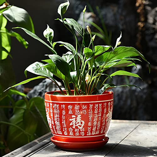植木鉢、8.6インチの円筒形のセラミック植木鉢、受け皿付き、多肉植物や小さなヘビの植物用のセラミックプランター、C