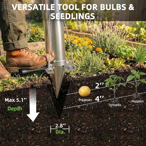 Bulb Planter manual para plantar bulbos y semillas miniatura 3
