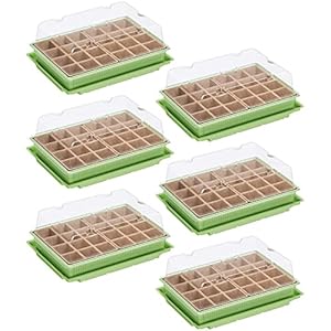 Wellgro Mini Gewächshaus für 24 Pflanzen, 6 Stück