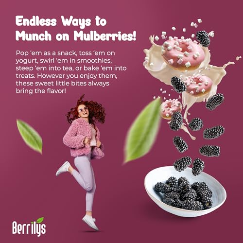 Berrilys Organic Dried Mulberries, Black, Dried Mulberry, Non-GMO, Unsulfured, Raw, 10 oz, Healthy Snacking, Great Ingredient for Baking Purposes, Vegan, Natural - Thumbnail 5