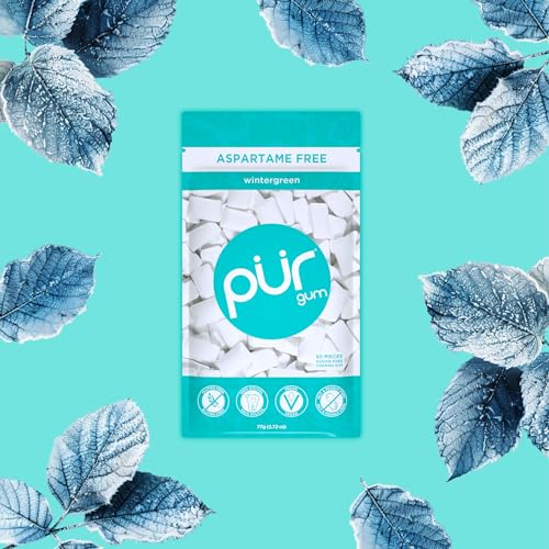 Buy PUR Gum Aspartame Free Chewing Gum 100 Xylitol Natural Wintergreen