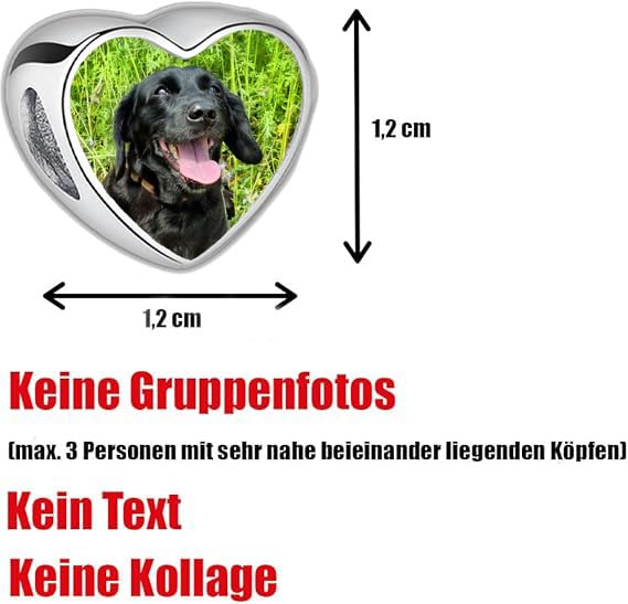 2Burned Silber 925 Personalisierter Schmuck Foto-Charm – Kompatibel mit Europäisches-Armbändern, Liebe Herz Personalisiertes Geschenk – Fügen Sie Ihr Bild hinzu (Hundepfote)