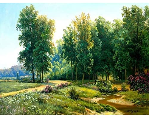 Peinture au diamant 5D chemin en bois kit complet broderie point de croix strass 30x40 cm