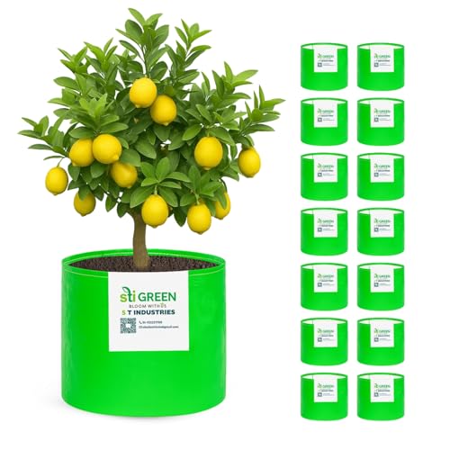 Image of HDPE Grow Bags for Plants 18X15 Inch (Pack of 15) | 260 GSM Heavy Duty UV-Protected Round Green Colour Plant Bags for Terrace and Vegetable Gardening | Strong & Reusable|