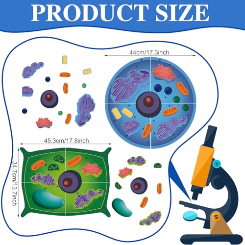 Image of 2 Set Magnetic Animal and Plant Cell Anatomy Biology Model Set