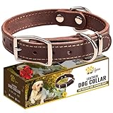 Heavy Duty Leather Dog Collar for Small Dogs - Soft and Strong Dog Collar for Puppy (Small: Fit 10' - 14.5' Neck, Brown)