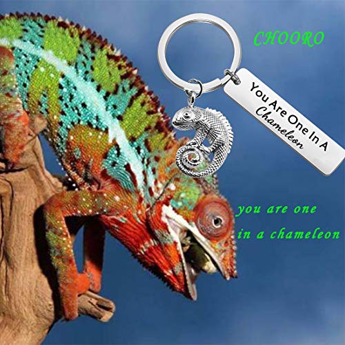 CHOORO You Are One In A Chameleon Keychain Chameleon Pendant Jewelry Happy Anniversary Birthday Valentine's Day - Image 4