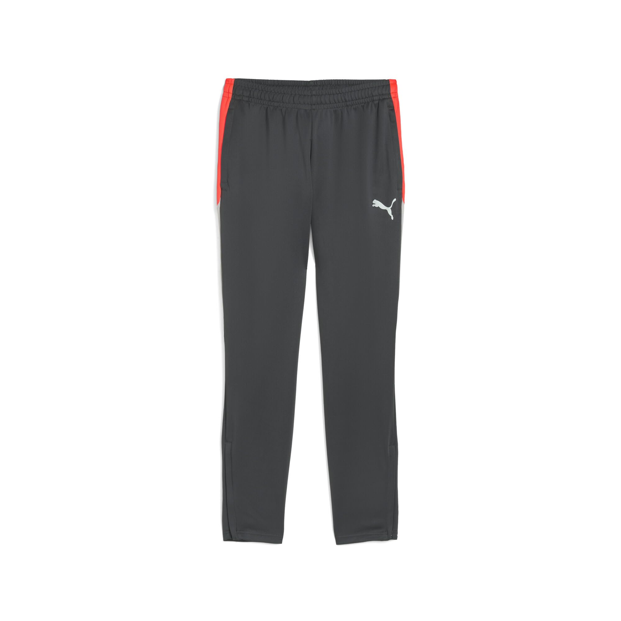 PUMA Herren individualLIGA Trainingshose