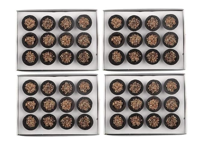 Sambrani Guggul Dhoop Cups (Pack of 4,48 Cups) for Pooja & Havan at Home, Office, Temple & Festivals | Natural Original Guggal Dhoop Cones, Loban Fragrance, Dhuni Cup (Includes 1 Burner Plate) (4)-image-19
