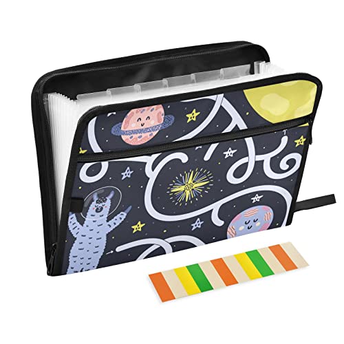 ZZKKO Carpeta de archivos expandible de 13 bolsillos con etiquetas adhesivas, carpeta de archivos de acordeón, organizador de documentos, tamaño carta, papel A4, contenedor de archivos expandible Cover