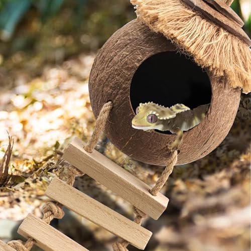 Image of Gecko Coconut Hideout with Ladder,Reptile Hammock Plants Vines Jungle Terrarium Decor Tank Accessories for Crested Geckos,Leopard Geckos,Lizard,Snakes,Tree Frogs