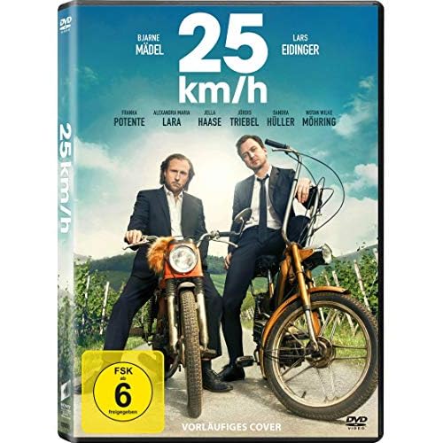 25 km/h