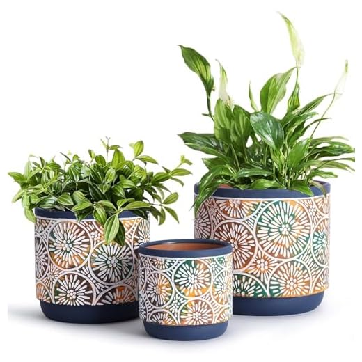 DeeCoo 3 Piece Ceramic Plant pots Indoor Pots Set with Drainage Holes, 5.7/4.7/3.5/inch, Modern Decorative pots Outdoor Plants Lilies, Cacti, Succulents, Snakes, and Bamboo (Blue)
