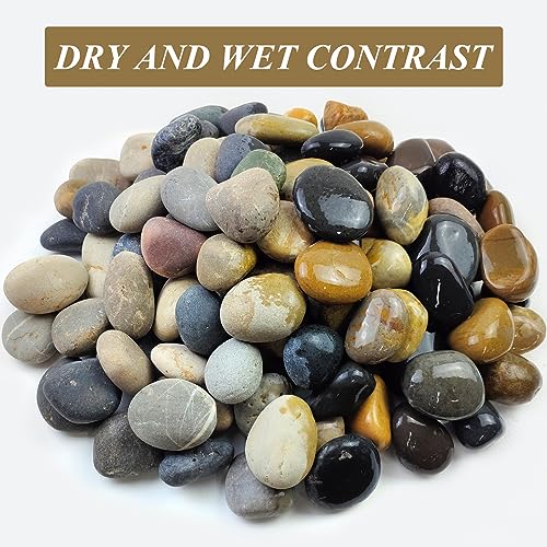FANTIAN 40 lbs Garden Rocks Pebbles, 2-3 Inch Decorative Large River Rocks for Landscaping, Painting, Aquarium, Plants, Crafting, Walkways and Outdoor Decorative Stones - Thumbnail 2
