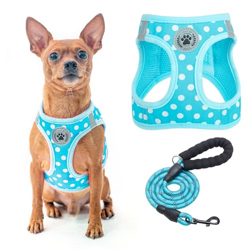 BEAUTYZOO pn[lX [hZbg ^ ^ Ή h~ ߉\ ʋCbV y ˍޕt ȒPE Ȃ K  U P V s⏕ ėp `FbN ybgpiiu[̐ XXSj