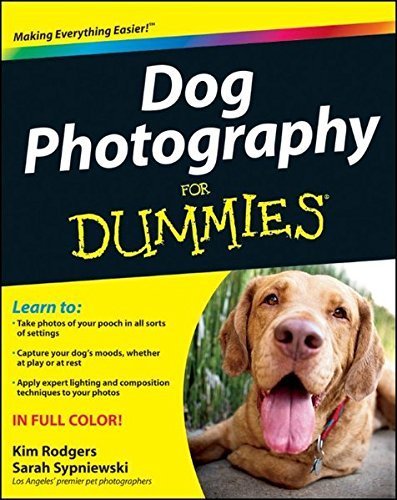 How to take a good photo of your dog