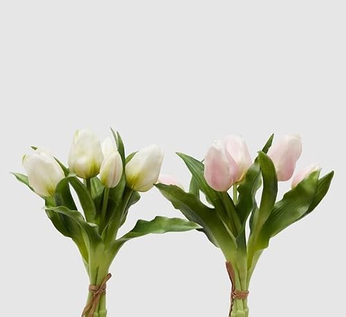 EDG Enzo De Gasperi Enzo De Gasperi Bouquet 5 Tulipani Olis Ass. H 28 Cm White Pink 1 Pz