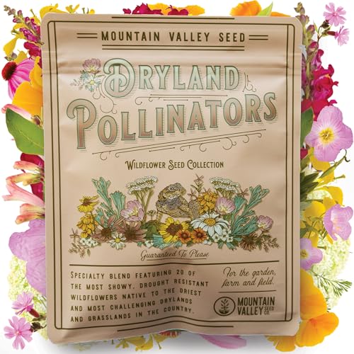 Wildflower Seeds - Drought-Tolerant Mix, 2 oz (80,000+ Seeds) – 20 Non-GMO Varieties – Dryland Wildflower Blend for Pollinators and Low-Water Gardens