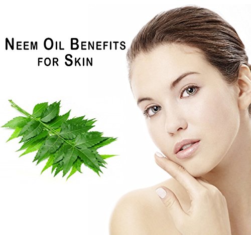 Image of Neem Carrier Oil - 100% Pure Natural Oil & Undiluted Cold Pressed Refined Cosmetic Grade For Aromatherapy, Skin Treatment, Hair Care, Face (300ML)