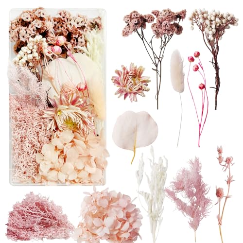 Flores Secas Manualidades Flores Preservadas Naturales Flores Secas Decorativas Flores Prensadas Secas Naturales para Marco de Foto DIY Decoración Artesanal (Rosa)
