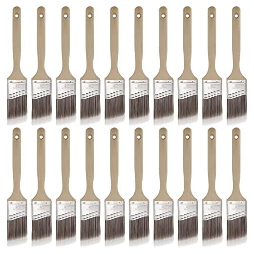 Set of 20 Angle Paint Brushes
