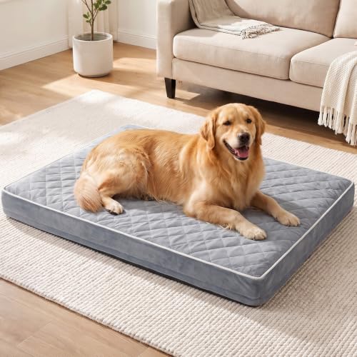 Quilmfoam Orthopaedic Dog Bed Extra Large 106 x 76 x 10 cm Washable Waterproof Dog Bed with Removable Cover Large Dog Bed Orthopedic Dog Mattress Dog Crate Bed Dog Sofa Bed for Medium and XL Dogs