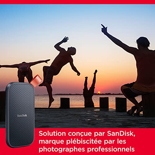 SanDisk Portable SSD 2 To (Portable Externe NVMe SSD, des vitesses allant jusqu'à 800 Mo/s, Robust, Crochet en caoutchouc robuste, Updated Firmware) Gris