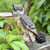 N\A B095CBZK2W lato 4