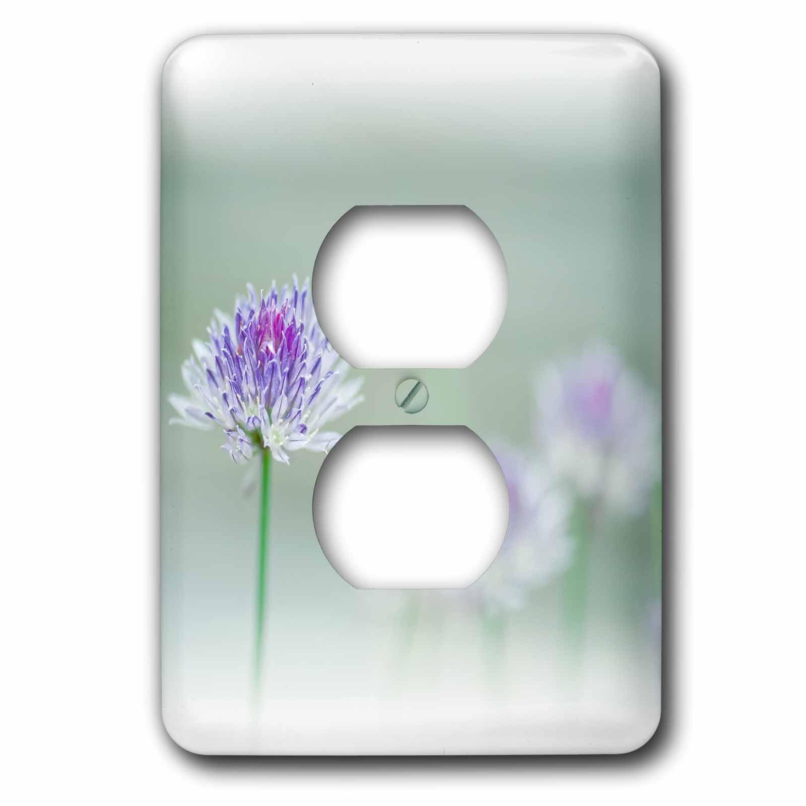 Couvercle de prise de courant de la ciboulette plaque murale decorative multicolore