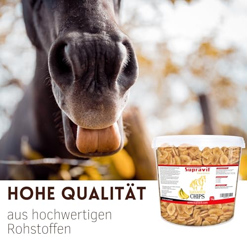 Supravit Bananenchips für Pferde – 2kg Eimer – knusprige Bananenscheiben aus 100% echten Bananen – appetitanregendes Ergänzungsfuttermittel – ideales Pferdeleckerli