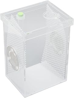Caixa de Criação de Insetos Répteis, Tanque de Gabinete de Insetos Répteis Durável Mini Acrílico Ventilado para Invertebrados para Louva-a-deus para Críquete (L)
