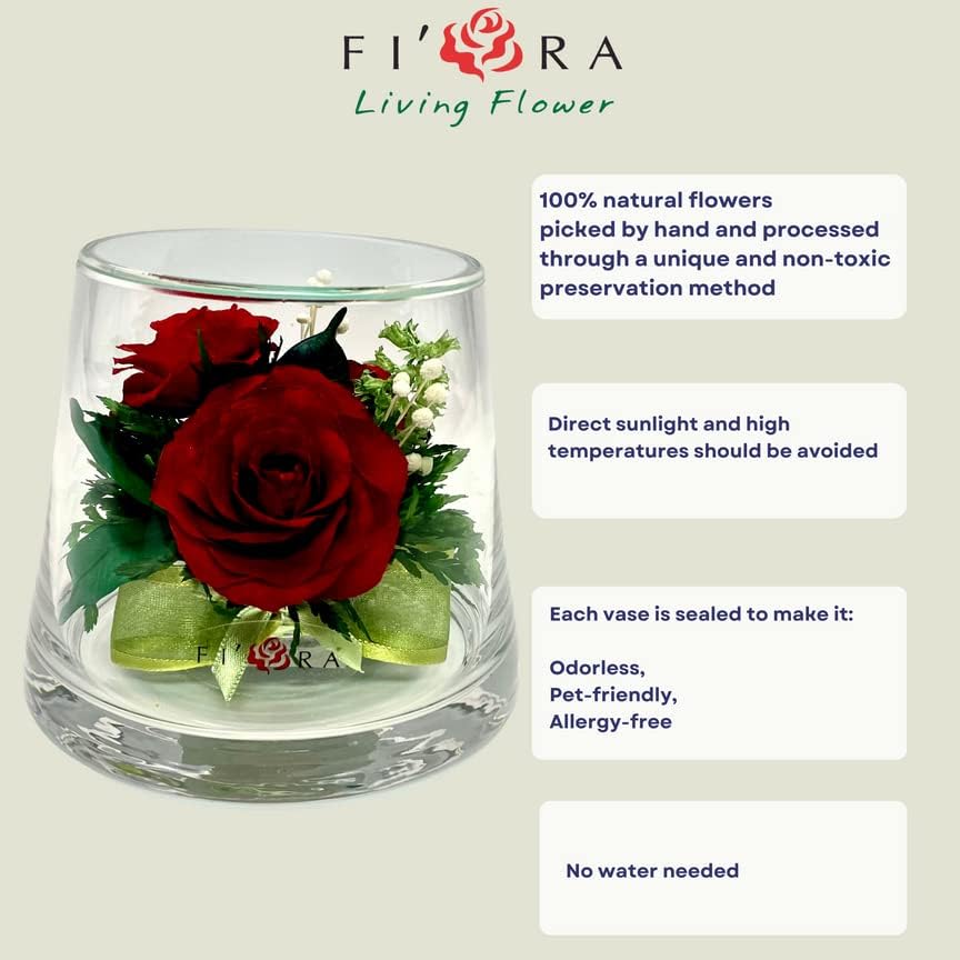 Miniatura 8 de Fiora Flower  Rosas reales de larga duración en un jarrón sellado, dura hasta 5 años, regalo único