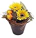 Produktbild CREAFLOR HOME Herbstgesteck Tontopf Sonnenblume Zweige Physalis gelb H 20cm, Ø 13cm