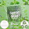 LAMKHOO 3 Packs of Plant-Based Spearmint Flavor Cores for Breathing Necklace to Break Habits Naturally | 9 Total Cores Fits Standard Necklace Diffusers for Anxiety Relief for Adults