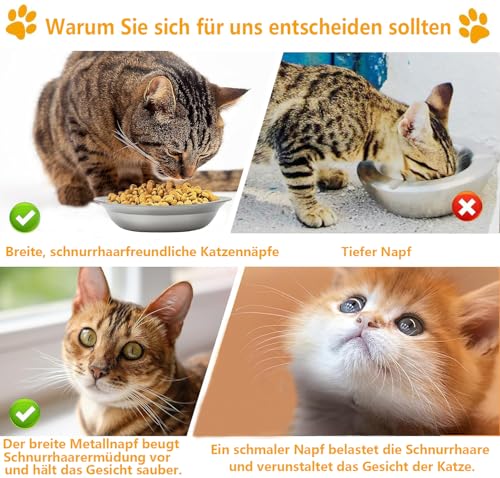 6 Stück Katzennapf Edelstahl 304 Material Futternapf Katze Katzen Napf Fressnapf Katze Wassernapf Katzenschüssel Katzen Napfset Katzennäpfe Katzenteller Futterschale für Kat-Zen Und Kleine Hunde 14cm