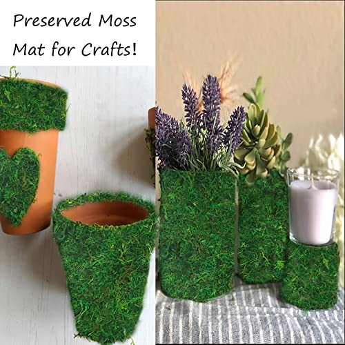 Faicoia 2 Pcs Moss Table Runner 6" X 55" Green Moss Roll For Fairy Gardens Wedding Woodland Decor Moss Grass Table Runner Preserved Moss Mat For Crafts Party 15X140Cm #TOP2