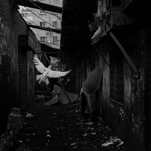 Le conte de l'amour en col&egrave;re