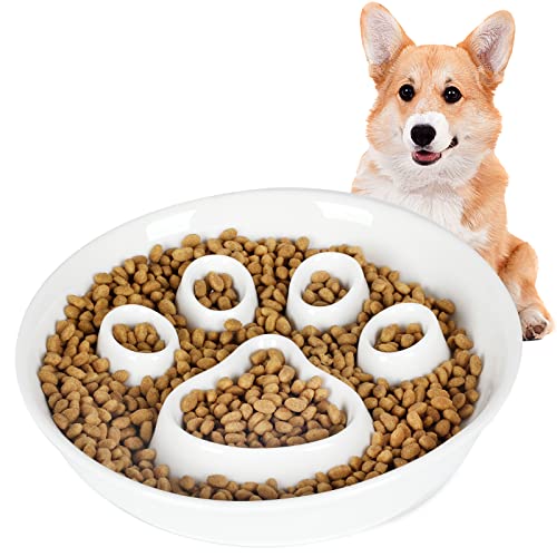 Fun Slow Feeder Cat Bowl, Ceramic Slow Eater Bowl For Small Dogs, 8-Inch (White) #TOP11