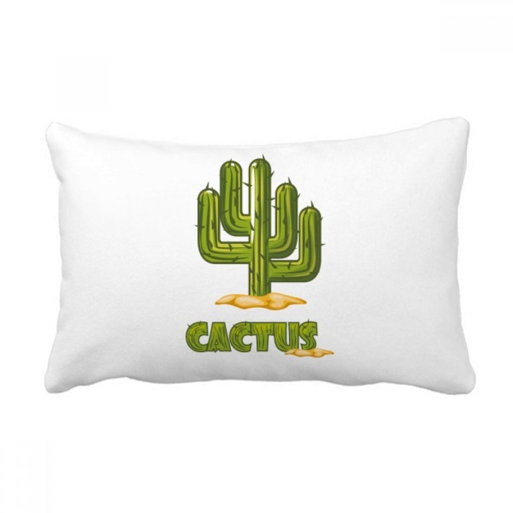 Oreiller lombaire cactus pour soulager le dos sur le canapé du salon