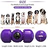Hirolulu-Dog-Treat-Dispensing-Puzzle-Toys-for-Large-Medium-Smart-DogsInteractive-Dog-Chase-Car-ToysPerfect-Alternative-to-Slow-Feeder-Dog-Bowls-to-Improves-Pets-DigestionFun-Giggle-Dog-Car-Toys Hirolulu Dog Treat Dispensing Puzzle Toys - The Ultimate Mind-Stimulating Game for Your Smart Pup