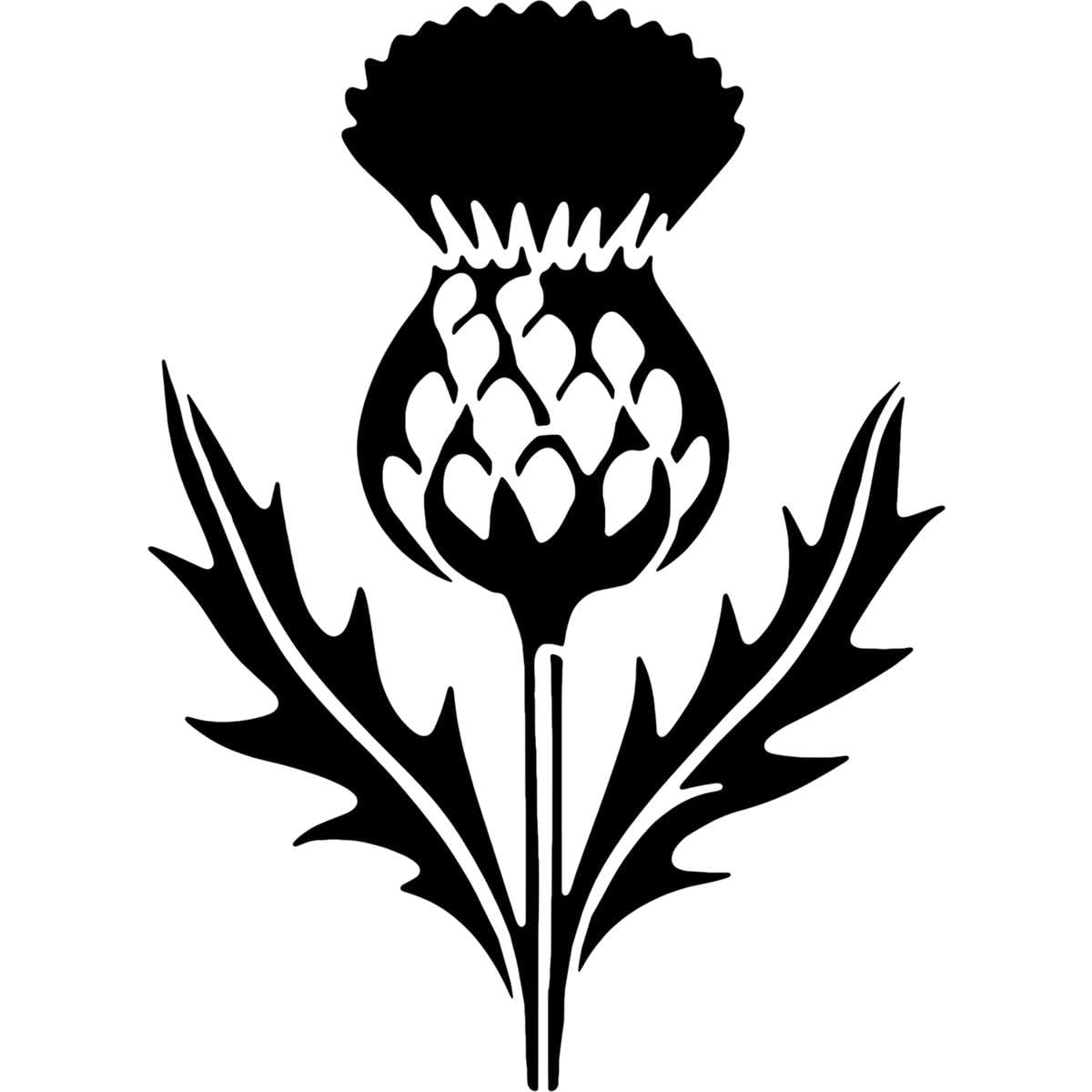 Azeeda 'Blooming Thistle Flower' Reusable Stencil – Durable Decorative Template for Painting and Spraying on Walls, Tiles, Wood, Fabric & Craft Projects - XXL (A2) (WS00080432)